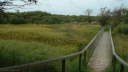 Fort-Mahon (Sentier 1)