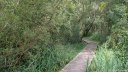 Fort-Mahon (Sentier 2)