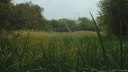 Fort-Mahon (Panne)