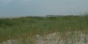 Fort-Mahon (Dunes 2)