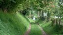 Londinières (Chemin 1)