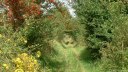 Londinières (Chemin 2)