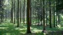 St Laurent en Caux (Plantation)