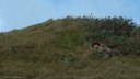 Berneval le Grand (Val au Prêtre 3)