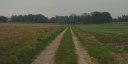 Bracquetuit (Chemin 2)
