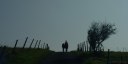 St Valery en Caux (vers Ectot)