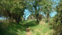 St Valery en Caux (Sentier)