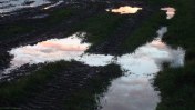 Gueutteville les Grès (Lueurs)