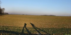 St Nicolas d'Aliermont (Ombres)