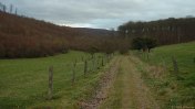 Saint-Saens (Chemin 1)