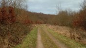 Saint-Saens (Chemin 2)
