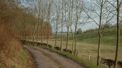 Saint-Saens (Chemin 6)