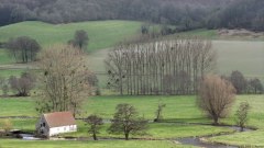 Martin-Eglise (Moulin)
