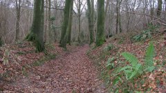St Nicolas d'Aliermont (Chemin)
