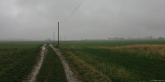 Rosay (Chemin 1)