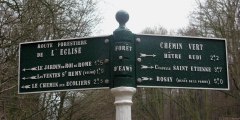 Forêt d'Eawy (Poteau)