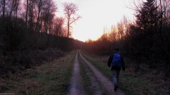 Forêt d'Eawy (Chemin)