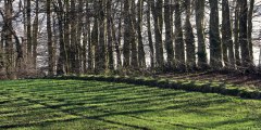 Berville (Ombres)
