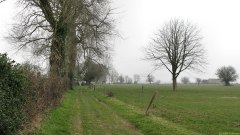 St Quentin la Motte (Chemin)