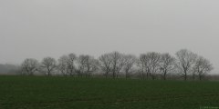 Saint Denis sur Scie (Plaine)