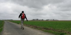 Drosay (Plaine)