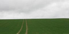 Doudeville (Plaine)