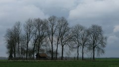 Flamanville (Cabane)