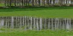 Touffreville la Corbeline (Reflet)