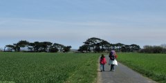 Vierville sur Mer (Route)