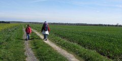 Vierville sur Mer (Chemin)