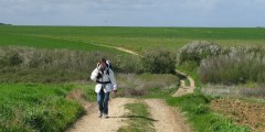 Tracy sur Mer (Chemin)