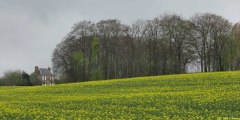 Doudeville (Vautuit 1)