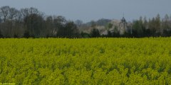Doudeville (Vautuit 2)