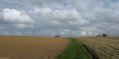 Routes (Chemin)