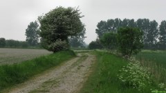 Ponthoile (Chemin)