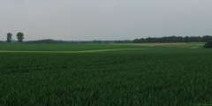 Quincampoix (Plaine)