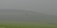 Fourges (les Murets)