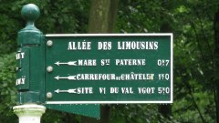 Forêt d'Eawy (Limousins 4)