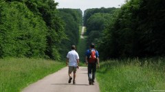 Forêt d'Eawy (Limousins 1)