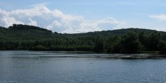 Bouvaincourt sur Bresle (Etang)