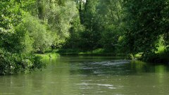 Bouvaincourt sur Bresle (la Bresle)