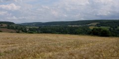 St Martin le Gaillard (Vallée)