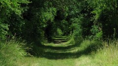 St Martin le Gaillard (Chemin)