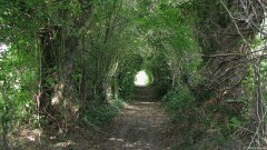 Beaussault (Chemin)