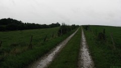Flamets-Frétils (Chemin)
