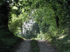Beaussault (Chemin 1)