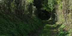 Grumesnil (Chemin)