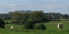 Haussez (Courcelles-Rançon)