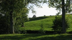 Haussez (Vache)