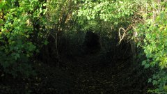 Haussez (Chemin)